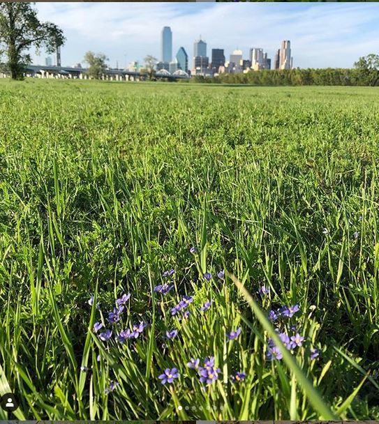 E98 - Trinity River Greenbelt