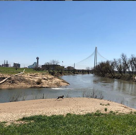 E99 - Trinity River Greenbelt3